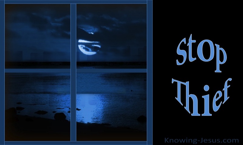 Stop Thief (devotional)11-07 (blue)
